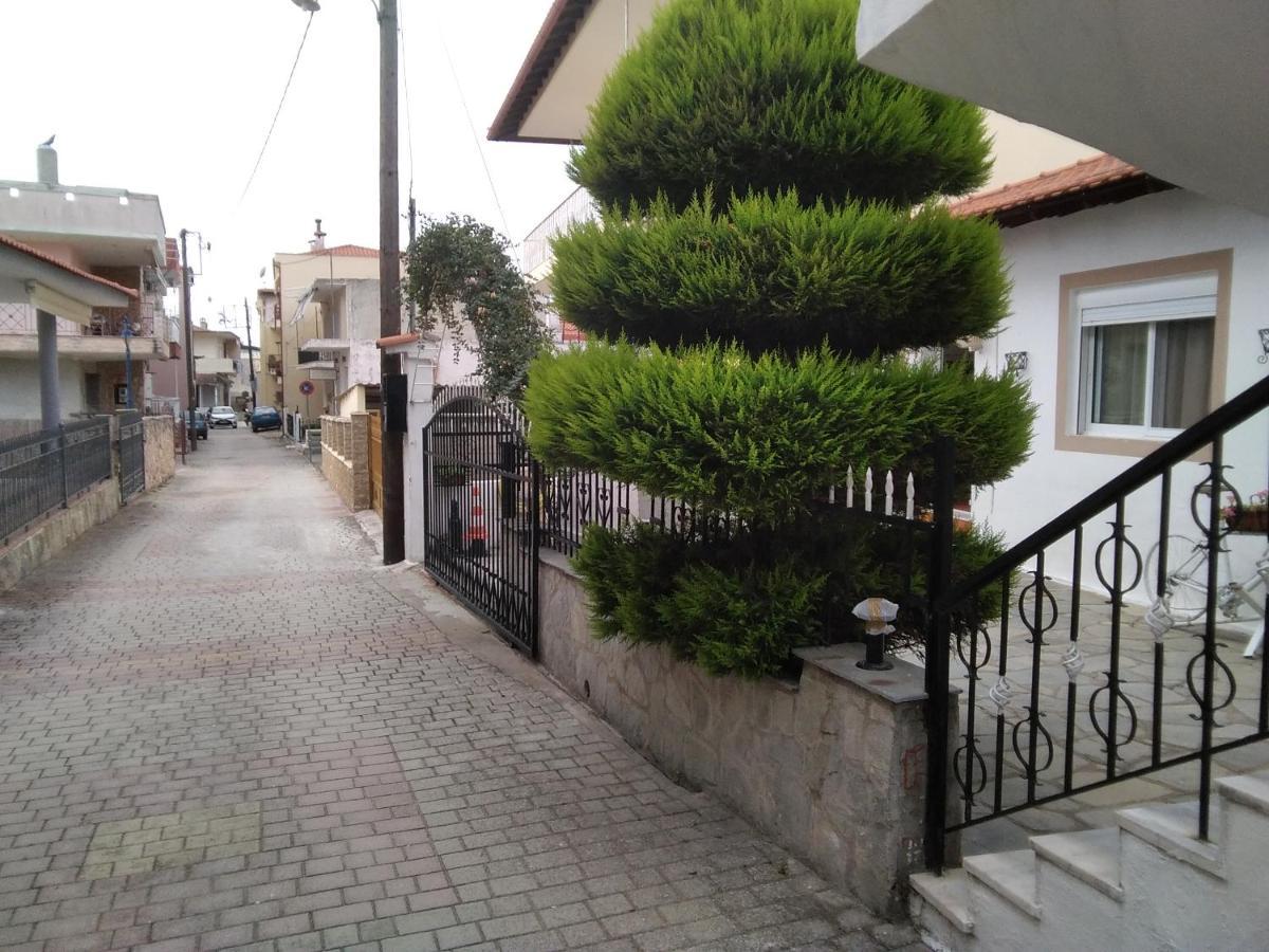Villa Konstantina Nea Skioni Exterior photo